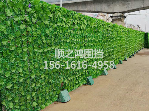 市政绿色花草围挡 (2)